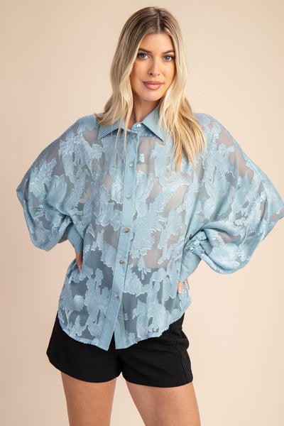 Sheer Delight Blouse