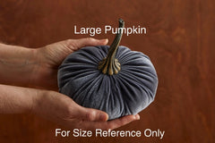 Velvet Pumpkins - Multicolors and Two Sizes