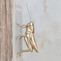 Golden Grasshopper