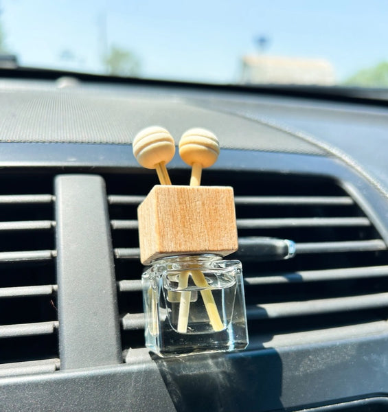 Sage & Co. Spring and Summer Scent Car Diffusers Vent Clip-Many Scents
