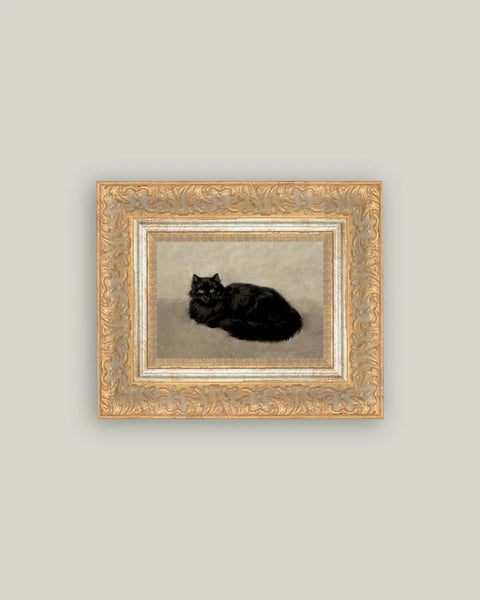 Framed Black Cat