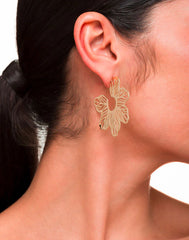 Sheila Fajl Tidal Grace Hoops