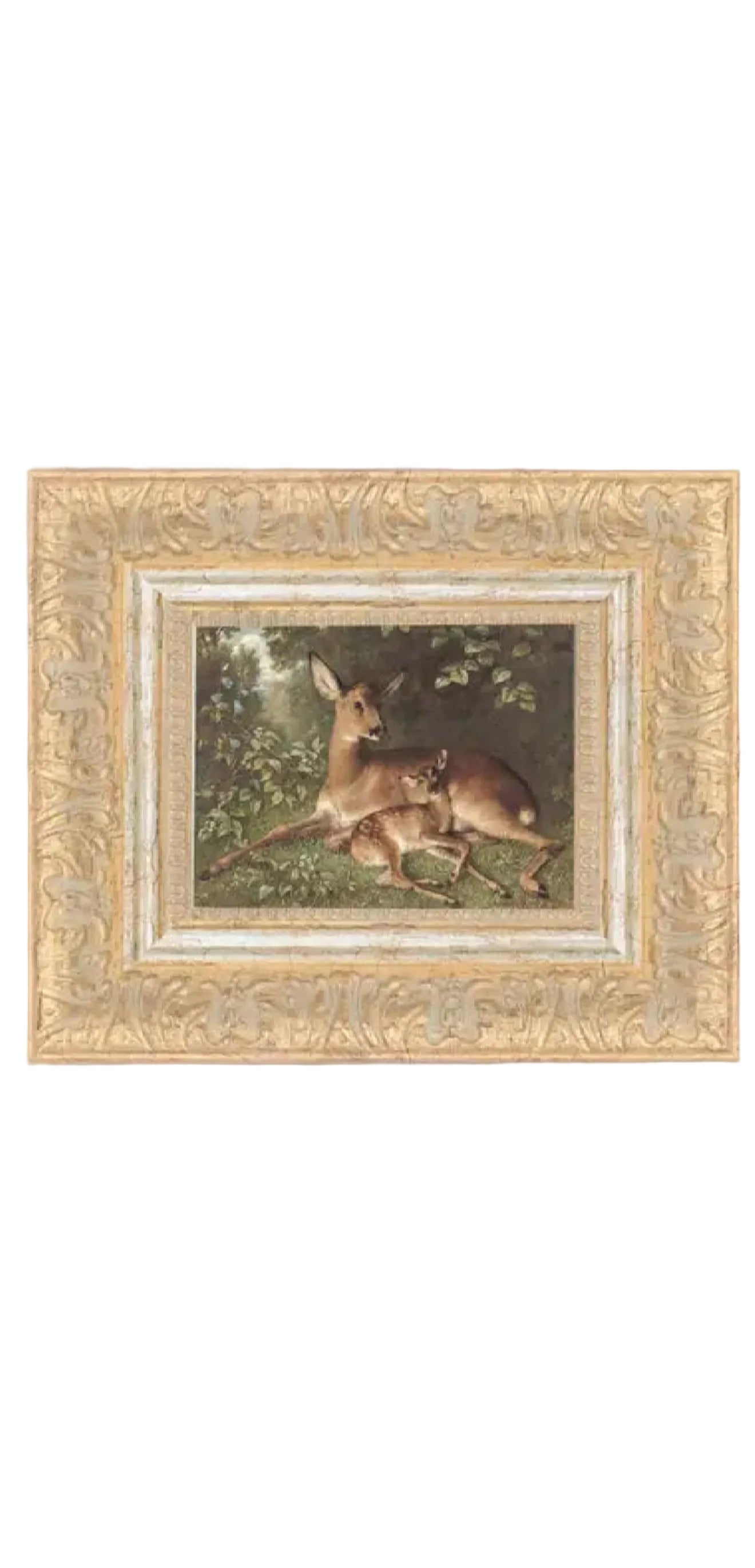 Doe With Fawn Framed Art