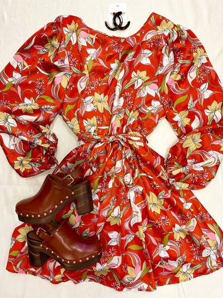 Fall Foliage Dress Large Fall Foliage Dress Large