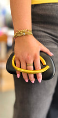 Chicago Clutch Purse