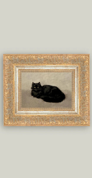 Framed Black Cat