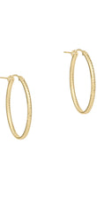 Créoles Enewton Oval Gold de 2,5 cm – texturées