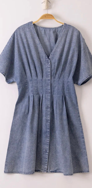 Vera Denim Dress