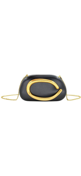 Chicago Clutch Purse