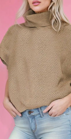 A Little Bird Anniversary Sweatshirt-3 Colors