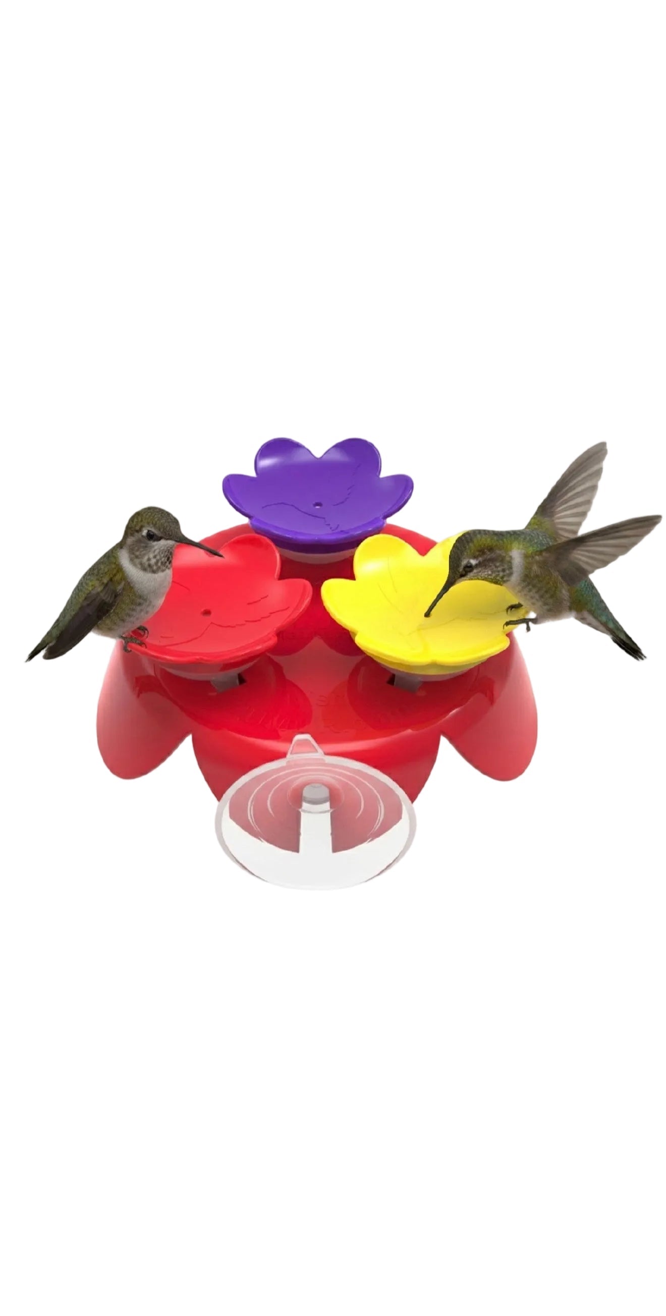 ZUMMR Hand-Feeding Hummingbird Feeder Trainer Kit