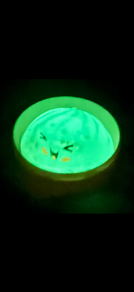 Mini Glow in the Dark Dumpling Squishy - Factory Sealed