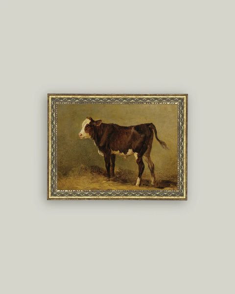 Framed Vintage Calf