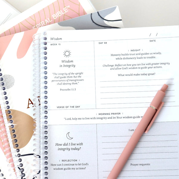 Anchored in His Word: A 90 Day Devotional