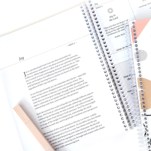 Anchored in His Word: A 90 Day Devotional