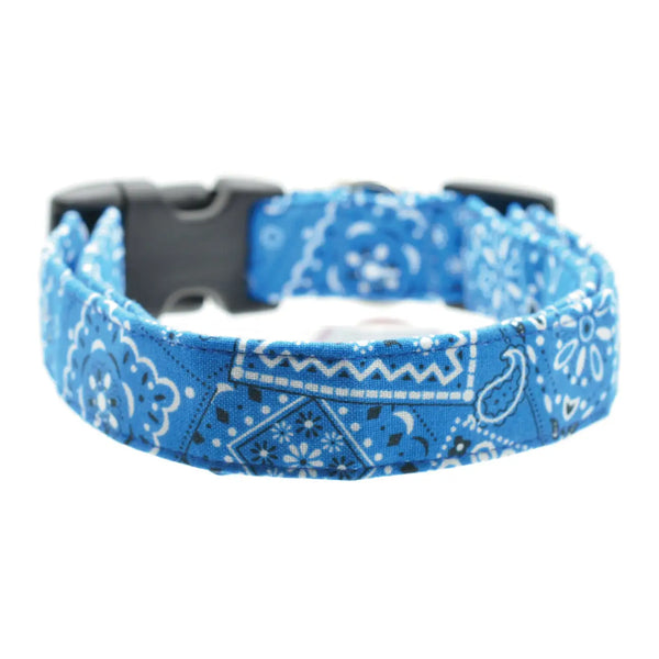 Dog Collars, Leashes and Bow Ties-Multiple Options