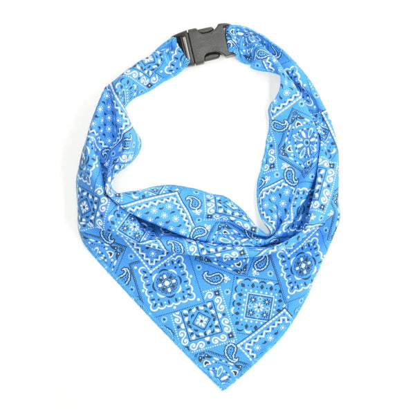 Dog Collars, Leashes and Bow Ties-Multiple Options