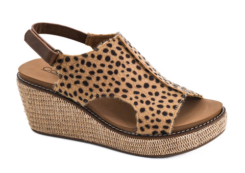 Corky's Carley - Mini Cheetah