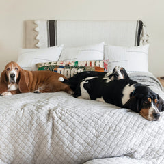 Sleeps With Dogs - Large Pillow