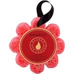 Spongelle' Wild Flower Sponge - 8 Scents