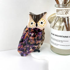 Owl Hair Clip