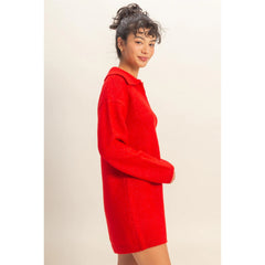 Classic Polo Sweater Dress