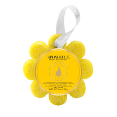 Spongelle' Wild Flower Sponges - Multiple Scents