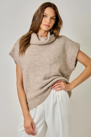 Taupe Glitter Sweater