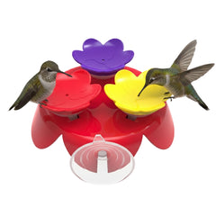 Kit d'entraînement ZUMMR pour nourrir les colibris à la main