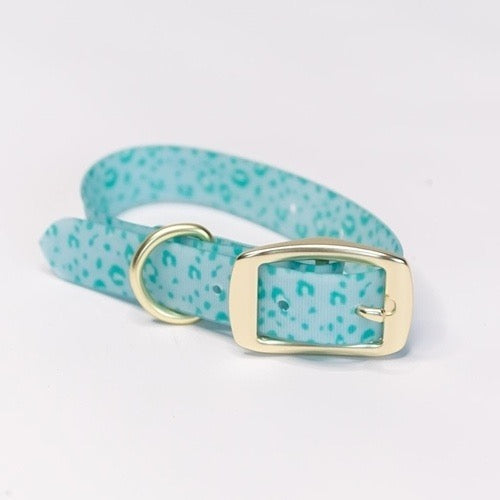 Mary Square Dog Collars