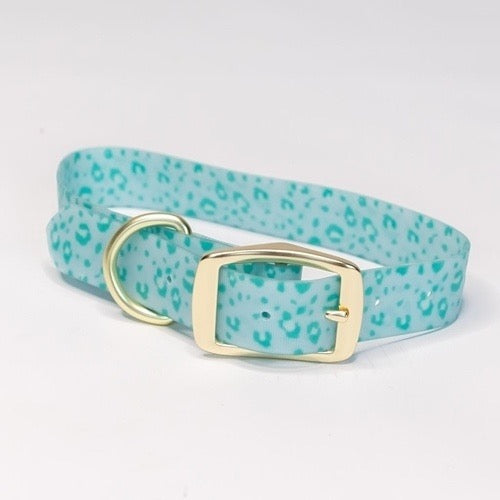 Mary Square Dog Collars