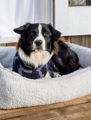Barefoot Dreams CozyChic™ Medium Pet Bed
