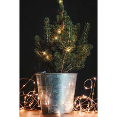 Lumin Essence Copper Wire Mini Lights