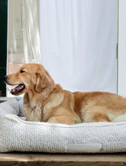 Barefoot Dreams CozyChic™ Medium Pet Bed